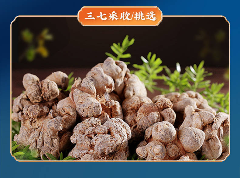 买三七粉哪个品牌好?品质保证!