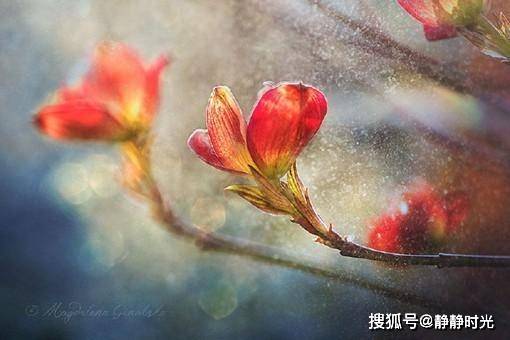 人这辈子,什么最值钱?(句句在理)