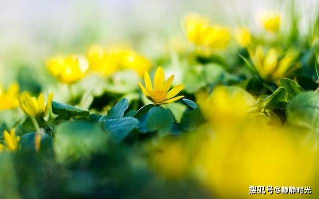 人这辈子,什么最值钱?(句句在理)