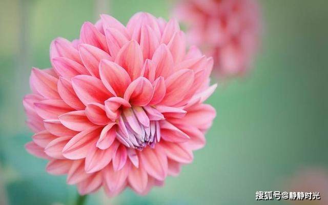 人这辈子,什么最值钱?(句句在理)