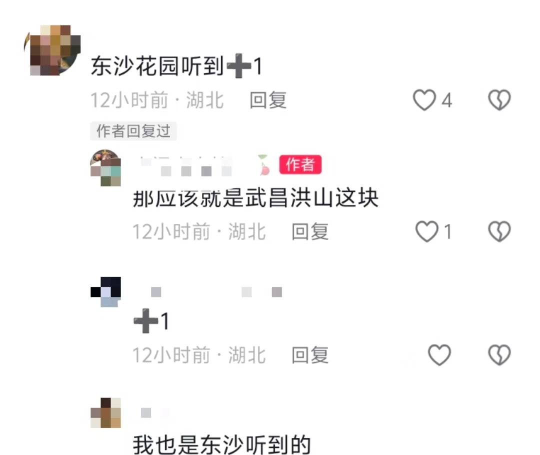 武汉多地网友称凌晨听到巨响,亲历者:听着明显像从地面发出,多方回应