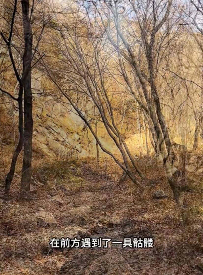驴友景区登山遇见尸骨,山西霍州警方:为简易墓葬,排除刑事案件
