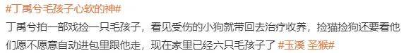 网友扒了他一圈后感慨:人怎么能老实成这样......