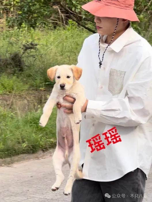 网友扒了他一圈后感慨:人怎么能老实成这样......