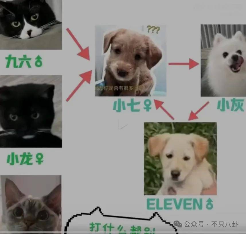 网友扒了他一圈后感慨:人怎么能老实成这样......