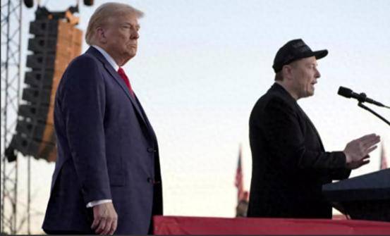 响应特朗普号召,马斯克对台重拳出击,一句话道出美商想要的结局