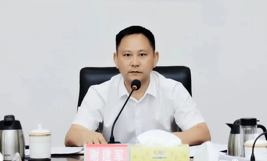 县委书记任上主动投案的谢建军，被逮捕