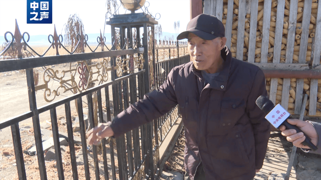 “它要是再扒门，我跑也来不及了！”当事人回忆老虎进村细节