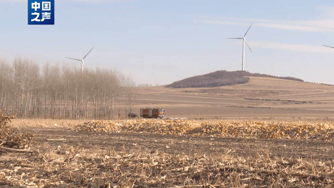 “它要是再扒门，我跑也来不及了！”当事人回忆老虎进村细节