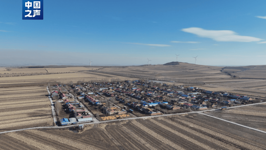 “它要是再扒门，我跑也来不及了！”当事人回忆老虎进村细节