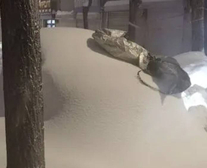 直击黑龙江鹤岗降雪:已破纪录,最大积雪深48厘米