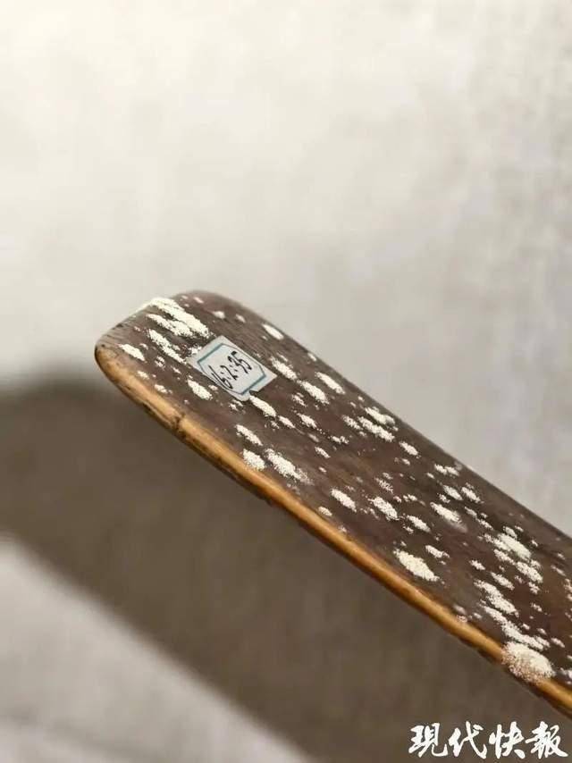 安徽一博物馆被曝有文物发霉，“从头到尾全是霉菌”！馆方回应……