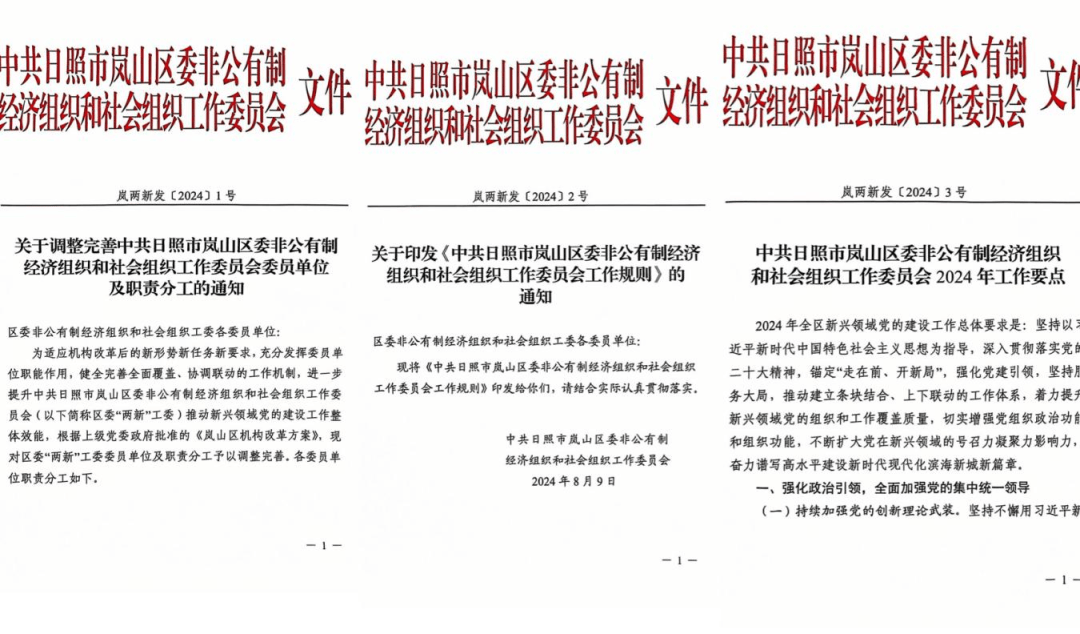 党建引领谱“新”篇 凝心聚力谋发展——岚山区新兴领域党建工作综述