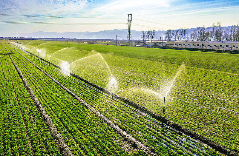 首提“农业新质生产力” 一号文件释放了哪些新信号?