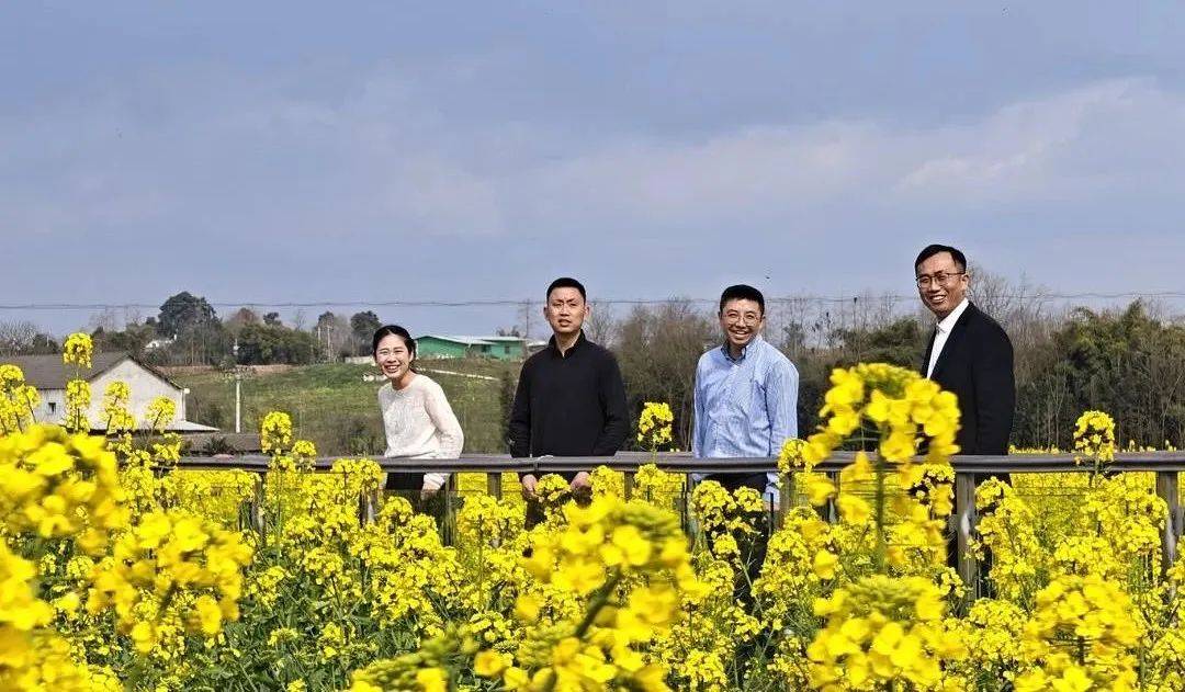 书记镇长油菜花田“魔鬼步伐”出圈！网友：就爱看你们这么拼！