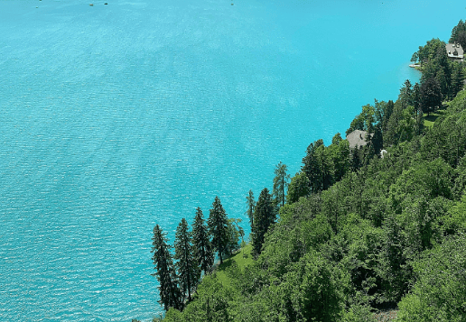 换打法了!解放军亮出一大动作,“台独”看呆了,特朗普始料未及