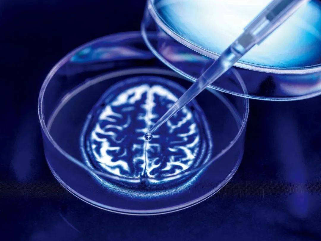 新药来了！这一无法治愈的疾病有救了？