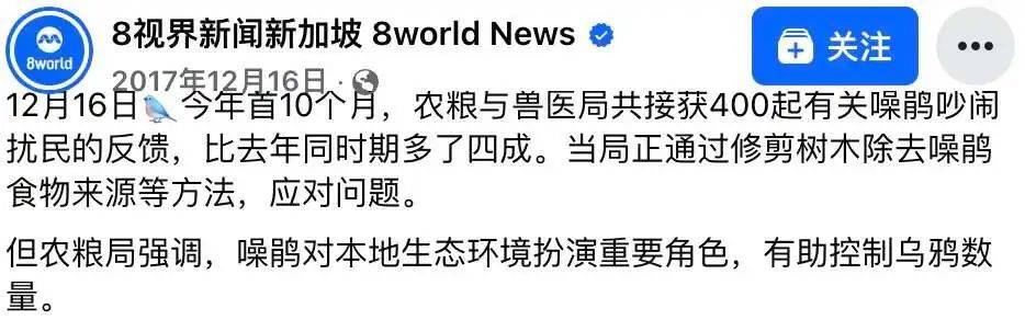 “周末想睡个懒觉都不行”，有多少深圳人被这种鸟吵到神经衰弱