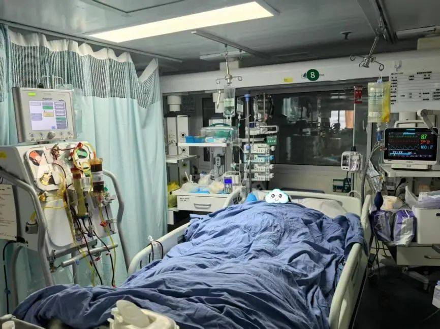 一锅下肚，广东一男子病危休克！死亡率接近100%，再次提醒：不采，不吃