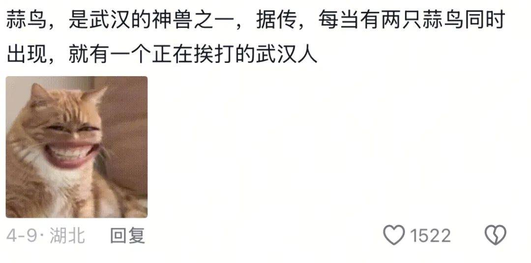 武汉话“蒜鸟”,最近劝(添)架(乱)唯一指定用语