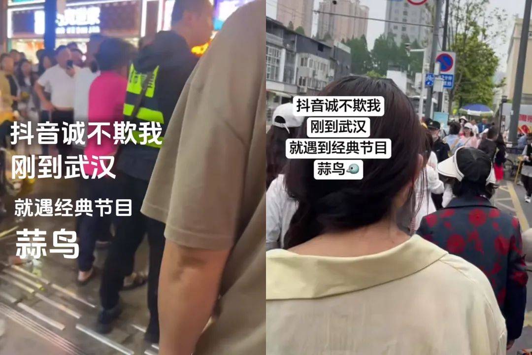 武汉话“蒜鸟”,最近劝(添)架(乱)唯一指定用语