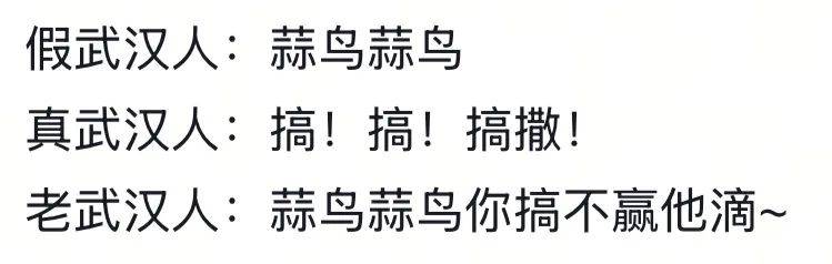 武汉话“蒜鸟”,最近劝(添)架(乱)唯一指定用语