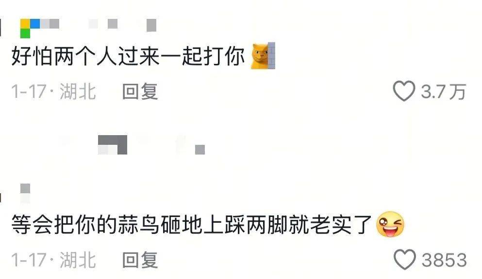 武汉话“蒜鸟”,最近劝(添)架(乱)唯一指定用语