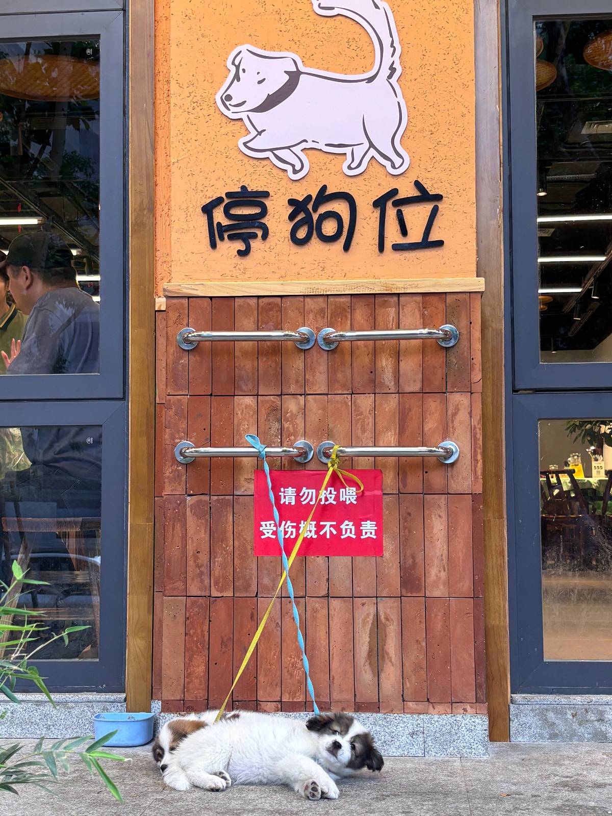 “先停狗再干饭!”武汉多个商铺现“停狗位”,商家称为吸引宠主,但有宠主表示担心