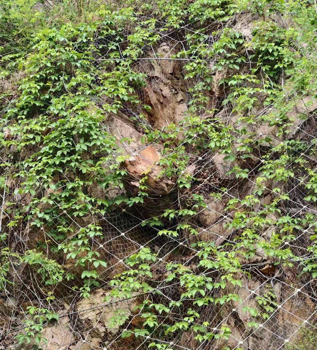 洛阳一家四口返家途中私家车被山体落石砸中,36岁父亲当场遇难,当地政府已成立工作专班