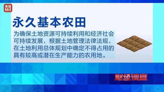 永久基本农田被垃圾掩埋!整改为何成“纸面工程”?