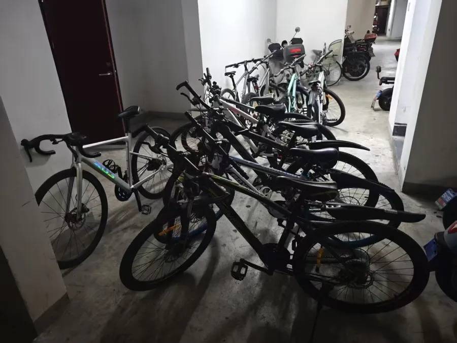 路边自行车频繁被偷,犯罪嫌疑人:“我就等着你们来”