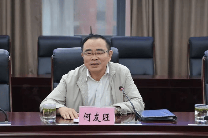 芜湖市委政法委原书记何友旺被逮捕！