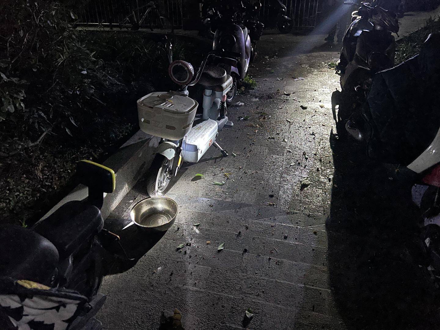 男子与朋友吃酒起争执,竟从10楼扔下绿萝、兰花和不锈钢盆,被刑拘