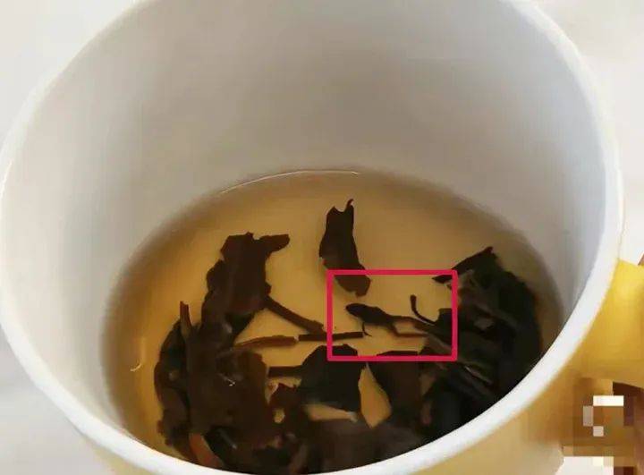 奈雪的茶被曝喝出青蛙，公司回应：已和消费者协商处理完毕