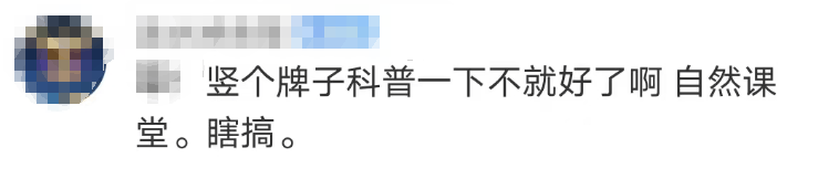 大片连根铲除！深圳一公园“火速响应”引质疑，网友为它喊冤