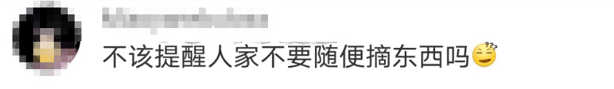 大片连根铲除！深圳一公园“火速响应”引质疑，网友为它喊冤