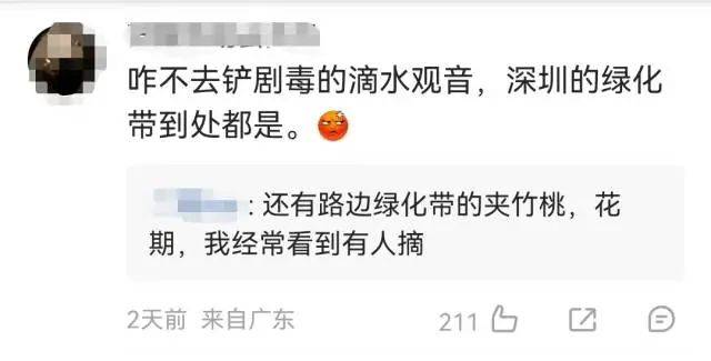 大片连根铲除！深圳一公园“火速响应”引质疑，网友为它喊冤