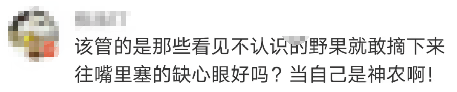 大片连根铲除！深圳一公园“火速响应”引质疑，网友为它喊冤