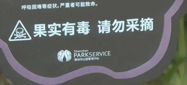 大片连根铲除！深圳一公园“火速响应”引质疑，网友为它喊冤