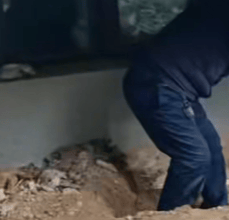 河南长垣女子购买一楼房子在院子里挖出疑似人体骨头,警方介入!物业:多方协调中 河南长垣女子购买一楼房子在院子里挖出疑似人体骨头,警方介入!物业:多方协调中