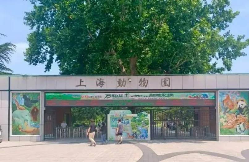 10月龄婴儿展馆内喝奶被赶出，上海动物园称做法合规，客服：暂未接到增设母婴室通知