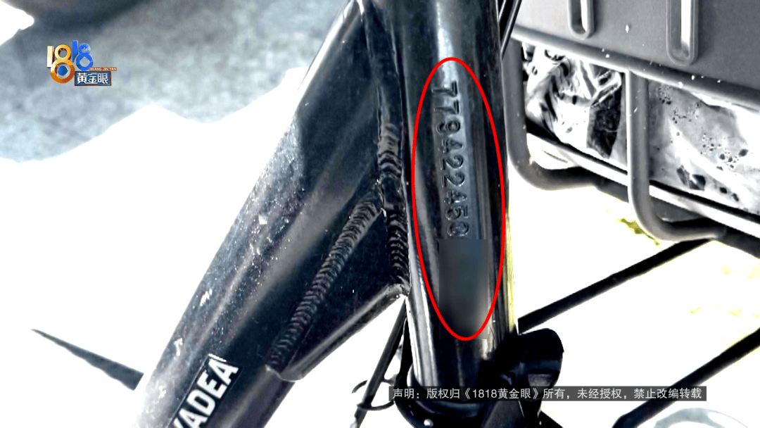 骑大牌电动车断成两截,结果还被厂商举报了?当事人:就跟老母猪上树一样