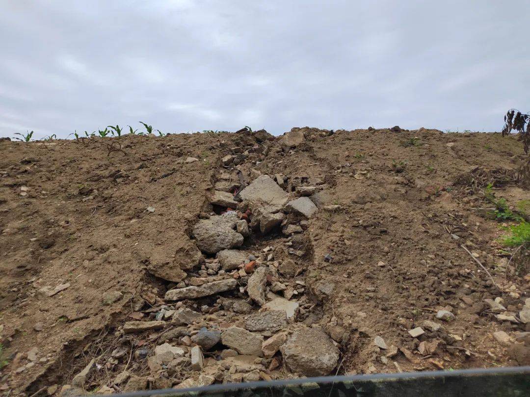 山东乳山非法倾倒固废事件调查