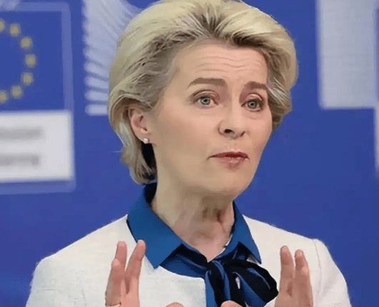 欧洲议会通过一则决定，直言稀土管制“违法”，要求立即取消，中方霸气回应