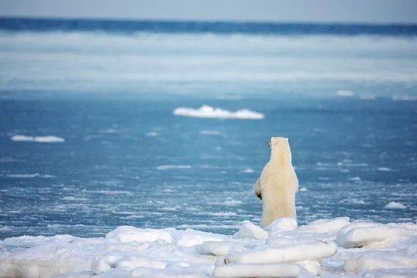 “几天下一年的雨”，防灾减灾关键在哪？