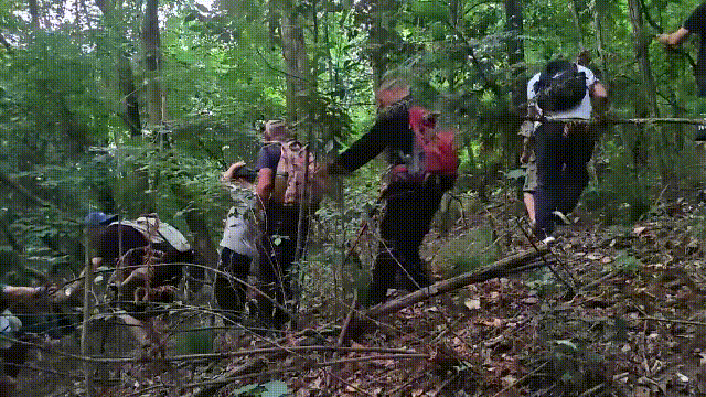 紧急寻人!男童参加夏令营山上走失!最新进展→