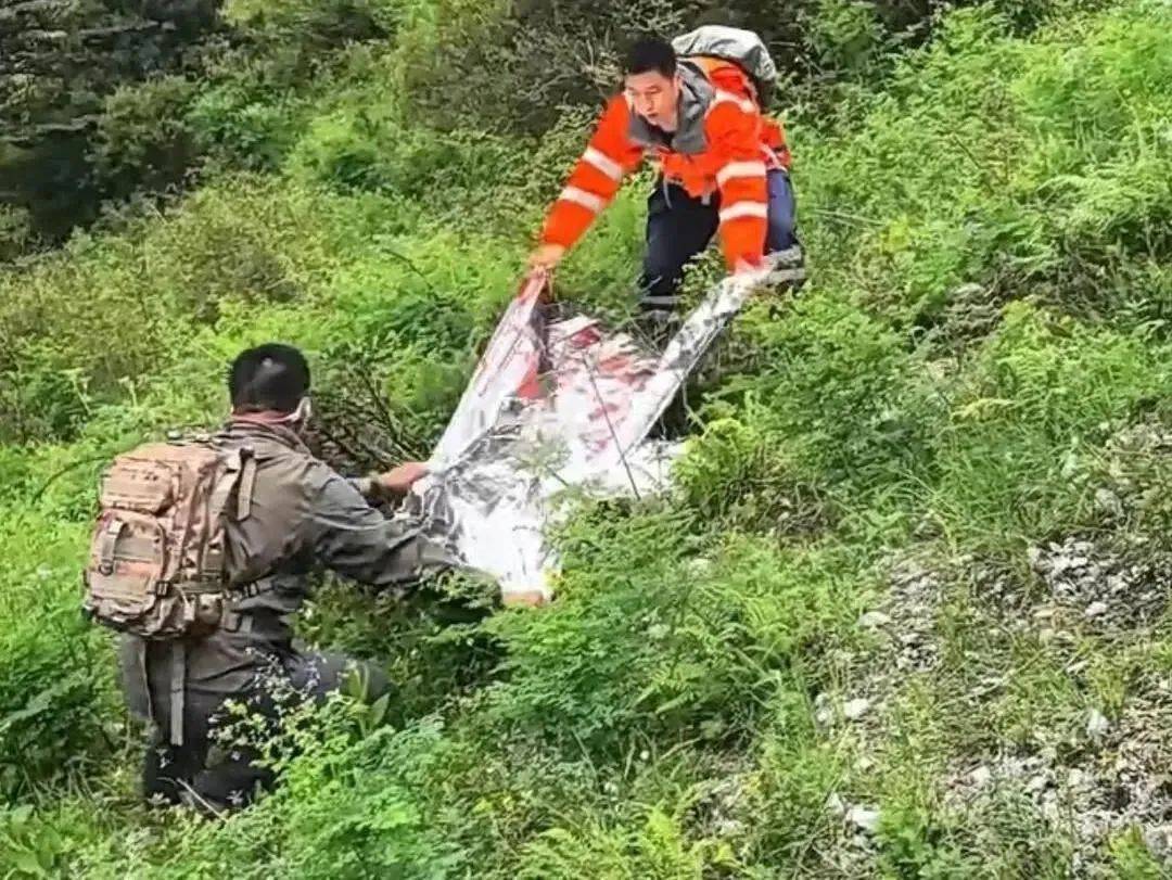 紧急寻人!男童参加夏令营山上走失!最新进展→