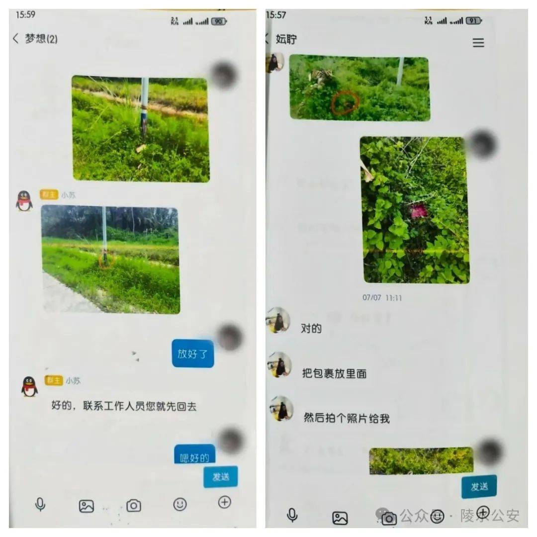 “短剧答题赢红包”?海南一男子上当受骗,把50万元现金藏在树根下、路边公示牌后、草丛中……