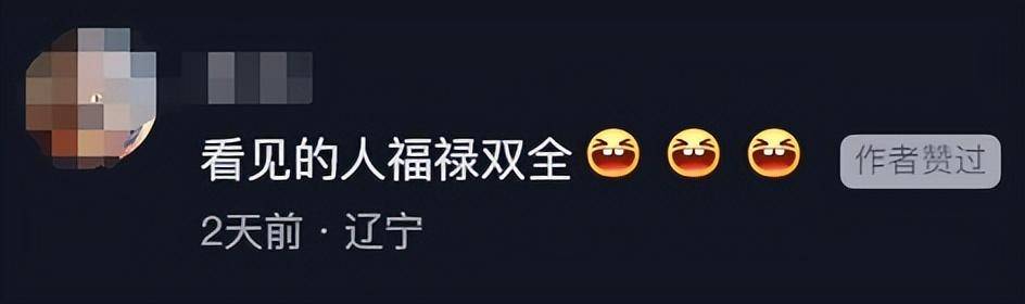 一个葫芦，怎么就惹了众怒？