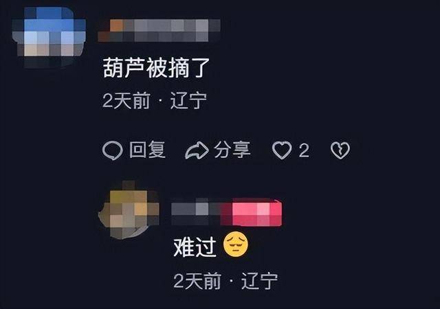 一个葫芦，怎么就惹了众怒？